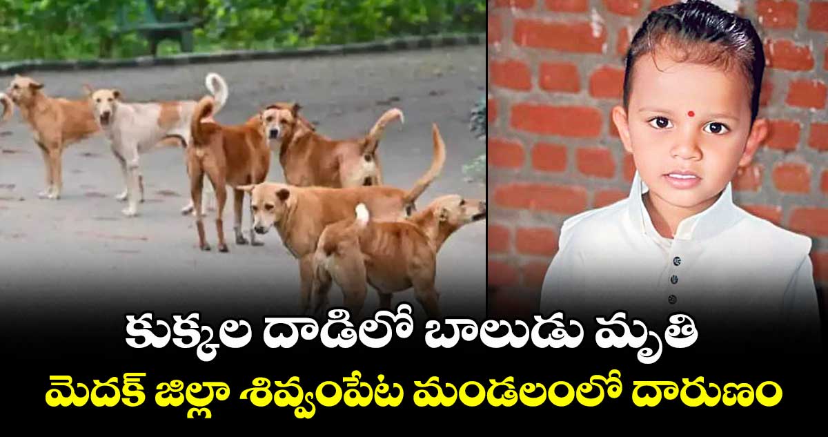 కుక్కల దాడిలో బాలుడు మృతి ..మెదక్ జిల్లా శివ్వంపేట మండలంలో దారుణం