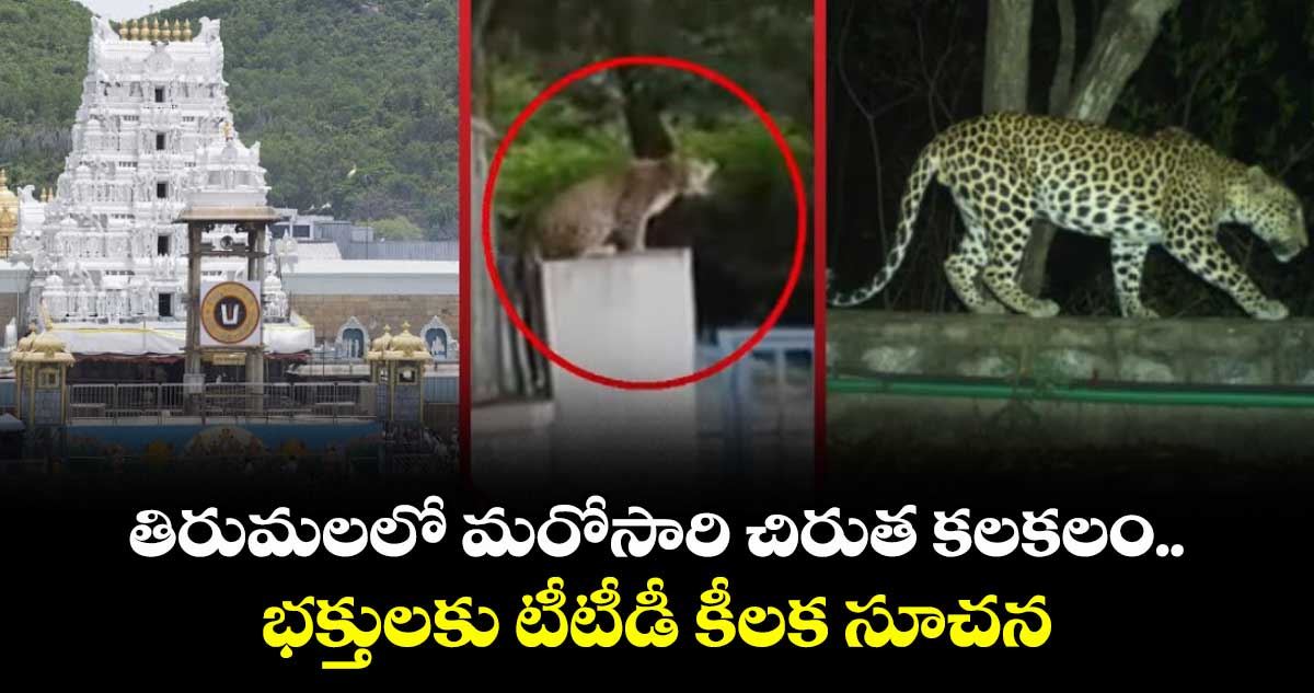 తిరుమలలో మరోసారి చిరుత కలకలం.. భక్తులకు టీటీడీ కీలక సూచన