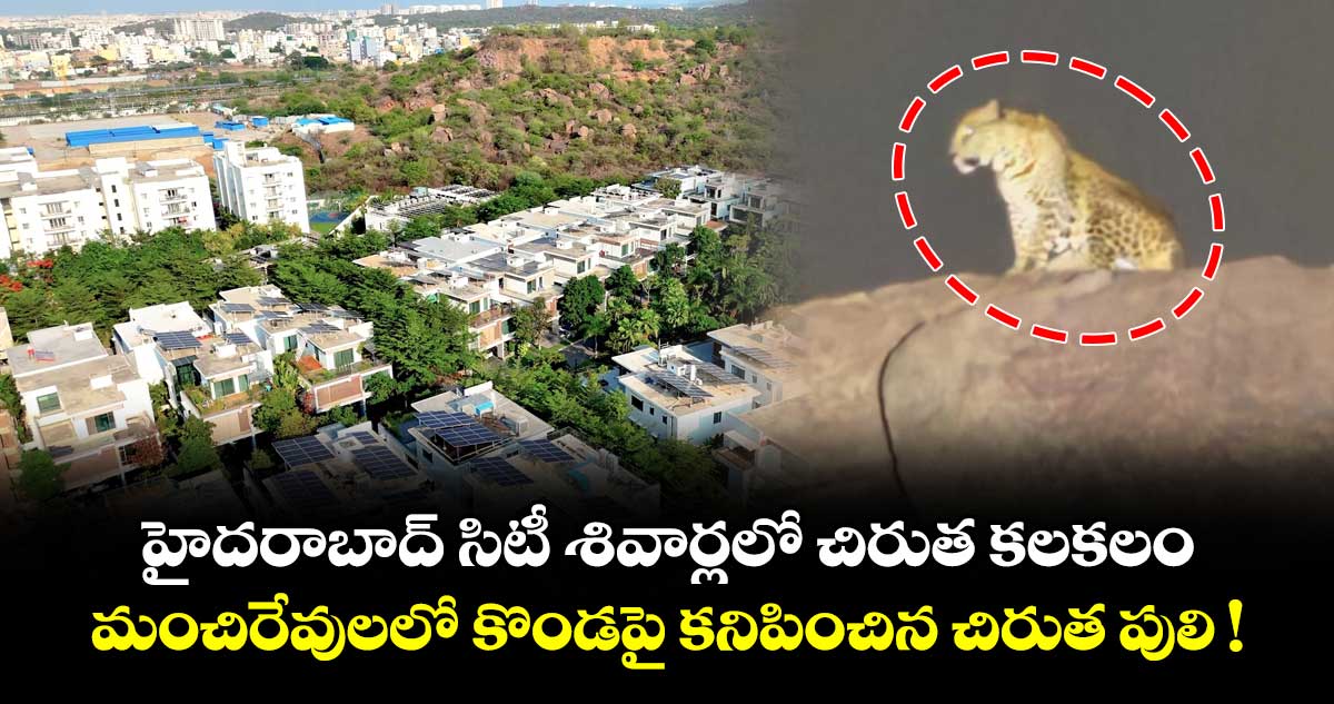 హైదరాబాద్ సిటీ శివార్లలో చిరుత కలకలం.. మంచిరేవులలో కొండపై చిరుత పులి !