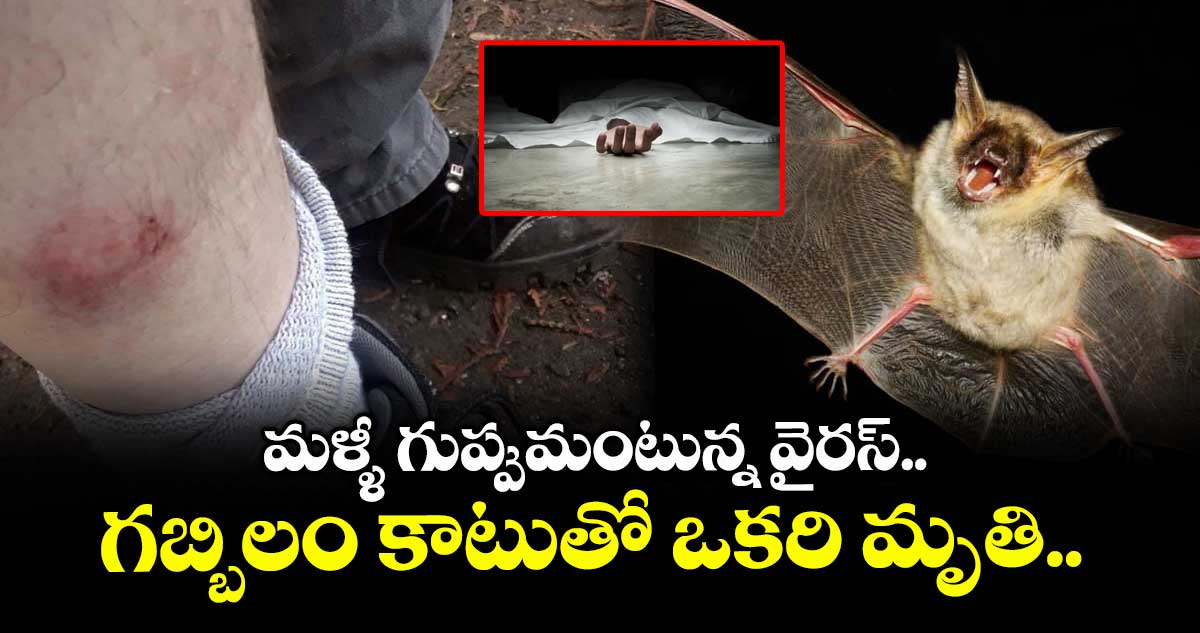 మళ్ళీ గుప్పుమంటున్న వైరస్.. గబ్బిలం కాటుతో ఒకరి మృతి.. 