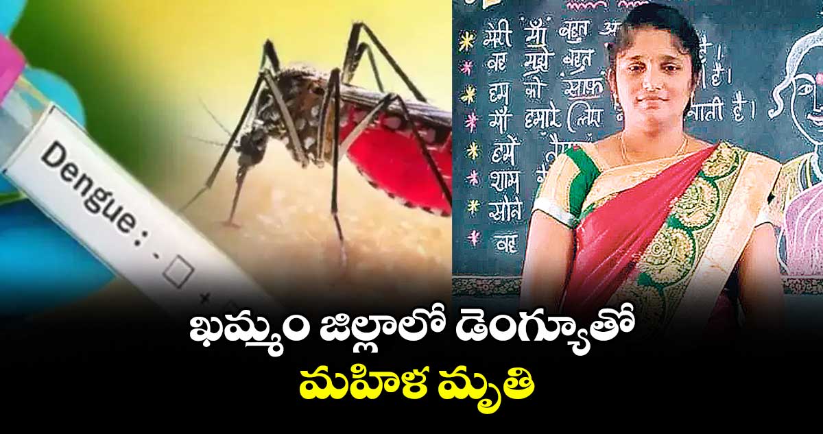 ఖమ్మం జిల్లాలో డెంగ్యూతో మహిళ మృతి