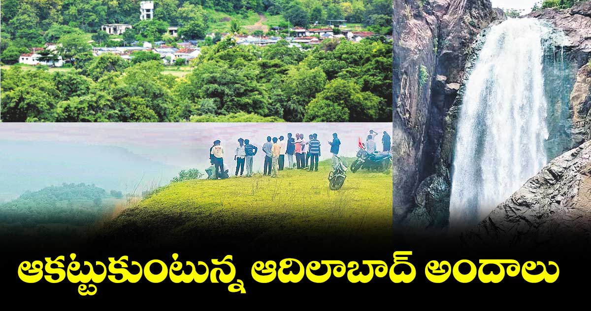 ఆకట్టుకుంటున్న ఆదిలాబాద్ అందాలు