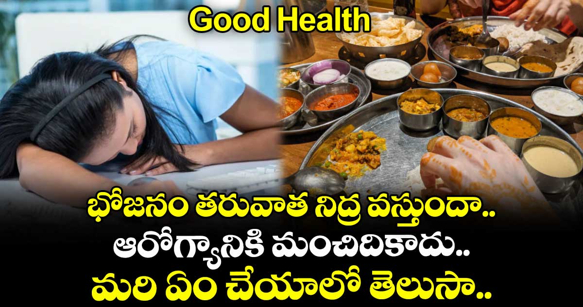 Good Health: భోజనం తరువాత నిద్ర వస్తుందా.. ఆరోగ్యానికి మంచిదికాదు.. మరి ఏం చేయాలో తెలుసా..