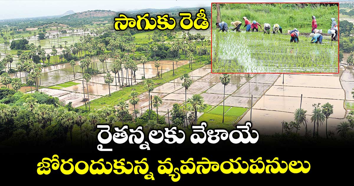 సాగుకు రెడీ : రైతన్నలకు వేళాయే.. జోరందుకున్న వ్యవసాయపనులు