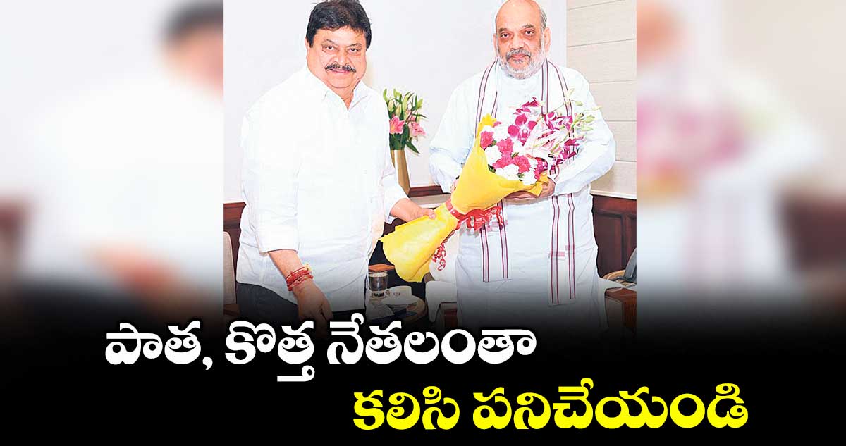 పాత, కొత్త నేతలంతాకలిసి పనిచేయండి : అమిత్ షా