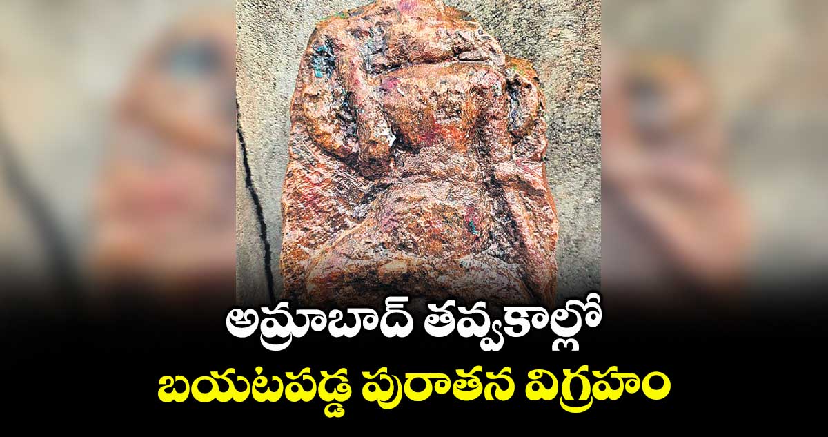 అమ్రాబాద్ తవ్వకాల్లో బయటపడ్డ పురాతన విగ్రహం