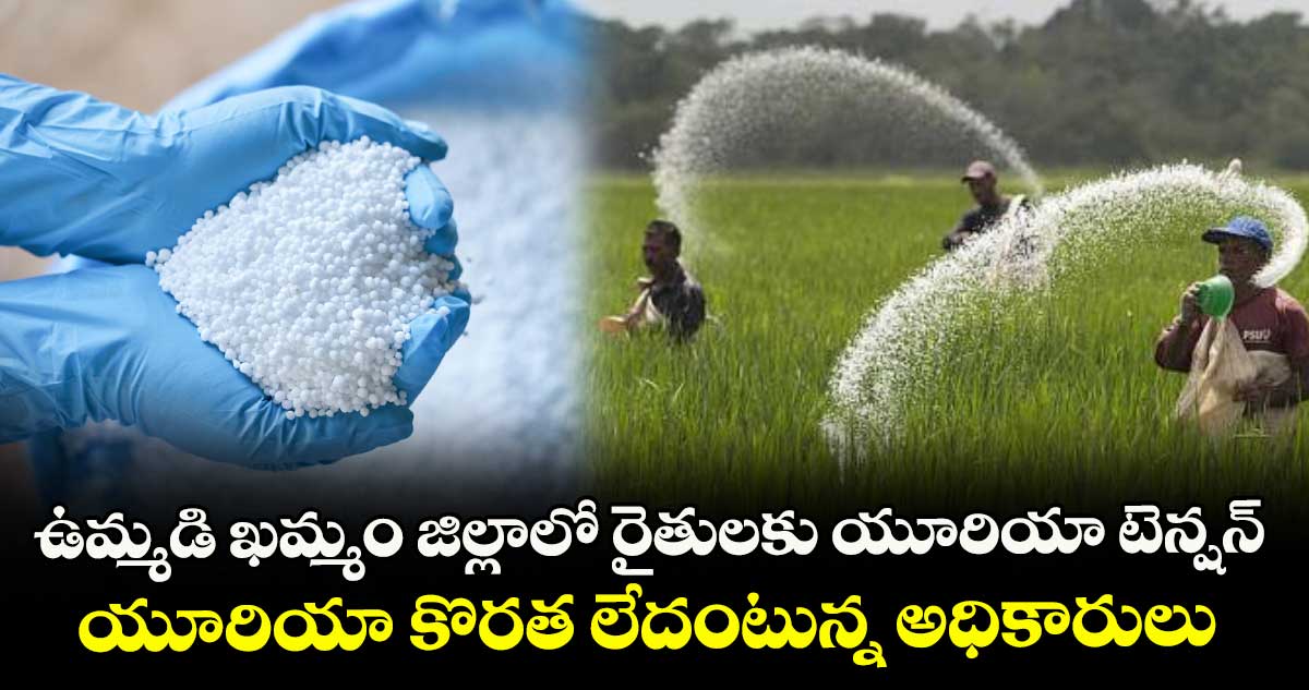 ఉమ్మడి ఖమ్మం జిల్లాలో రైతులకు యూరియా టెన్షన్ .. యూరియా కొరత లేదంటున్న అధికారులు