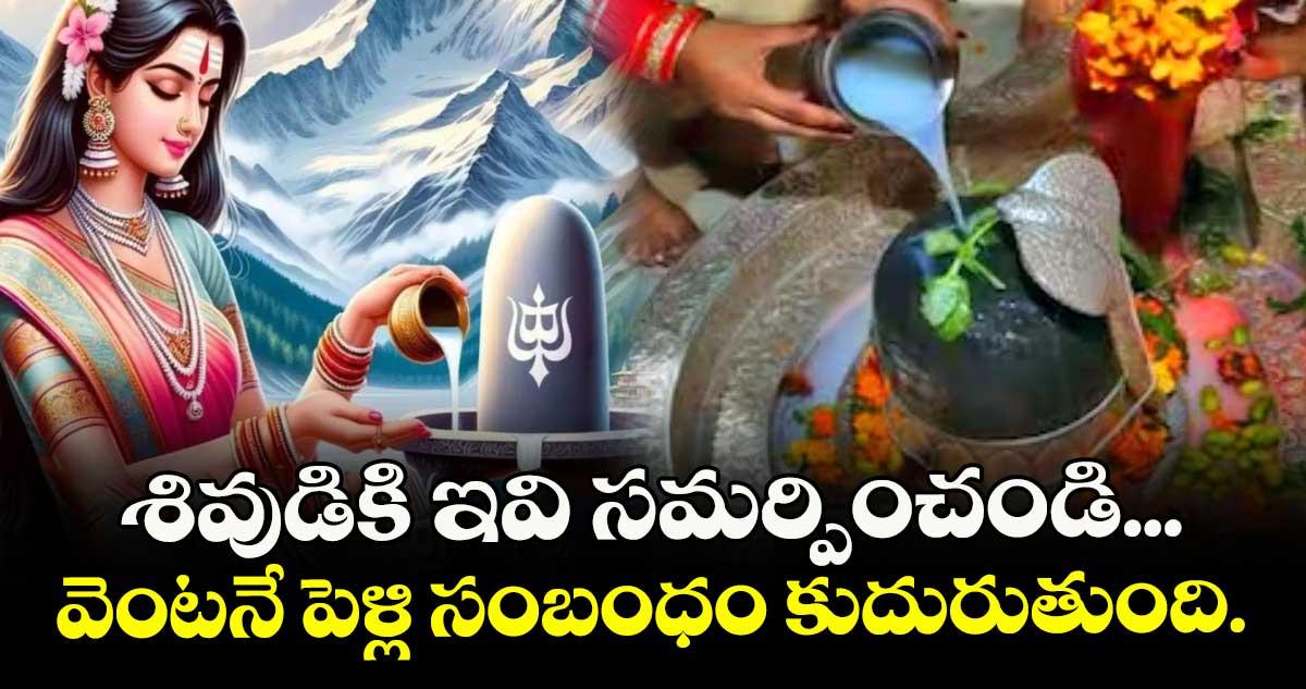 శివుడికి ఇవి సమర్పించండి... వెంటనే పెళ్లి సంబంధం కుదురుతుంది.