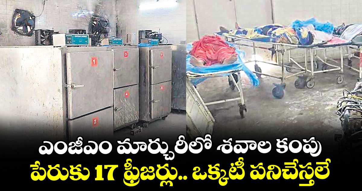 ఎంజీఎం మార్చురీలో శవాల కంపు.. పేరుకు 17 ఫ్రీజర్లు.. ఒక్కటీ పనిచేస్తలే..