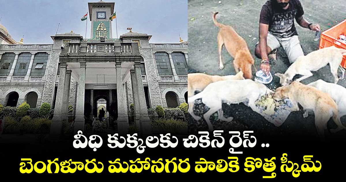 వీధి కుక్కలకు చికెన్ రైస్ .. బెంగళూరు మహానగర పాలికె కొత్త స్కీమ్