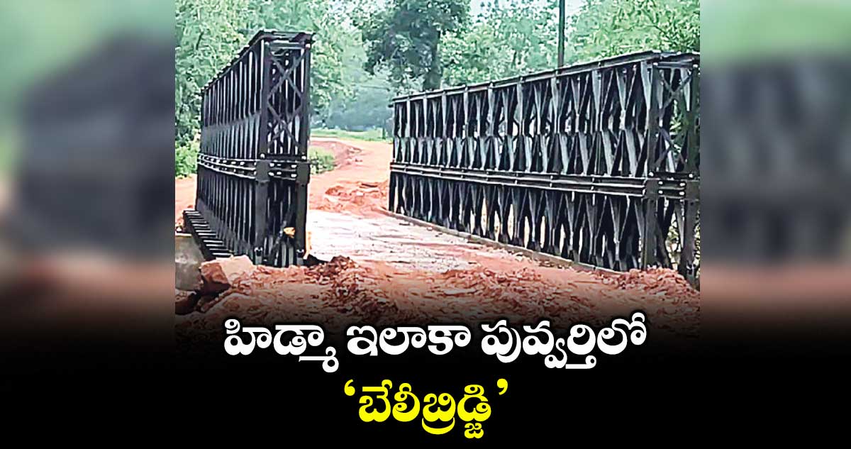 హిడ్మా ఇలాకా పువ్వర్తిలో ‘బేలీబ్రిడ్జి’