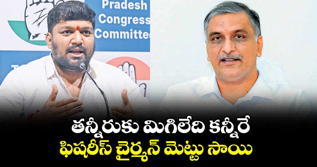తన్నీరుకు మిగిలేది కన్నీరే : ఫిషరీస్  చైర్మన్ మెట్టు సాయి 