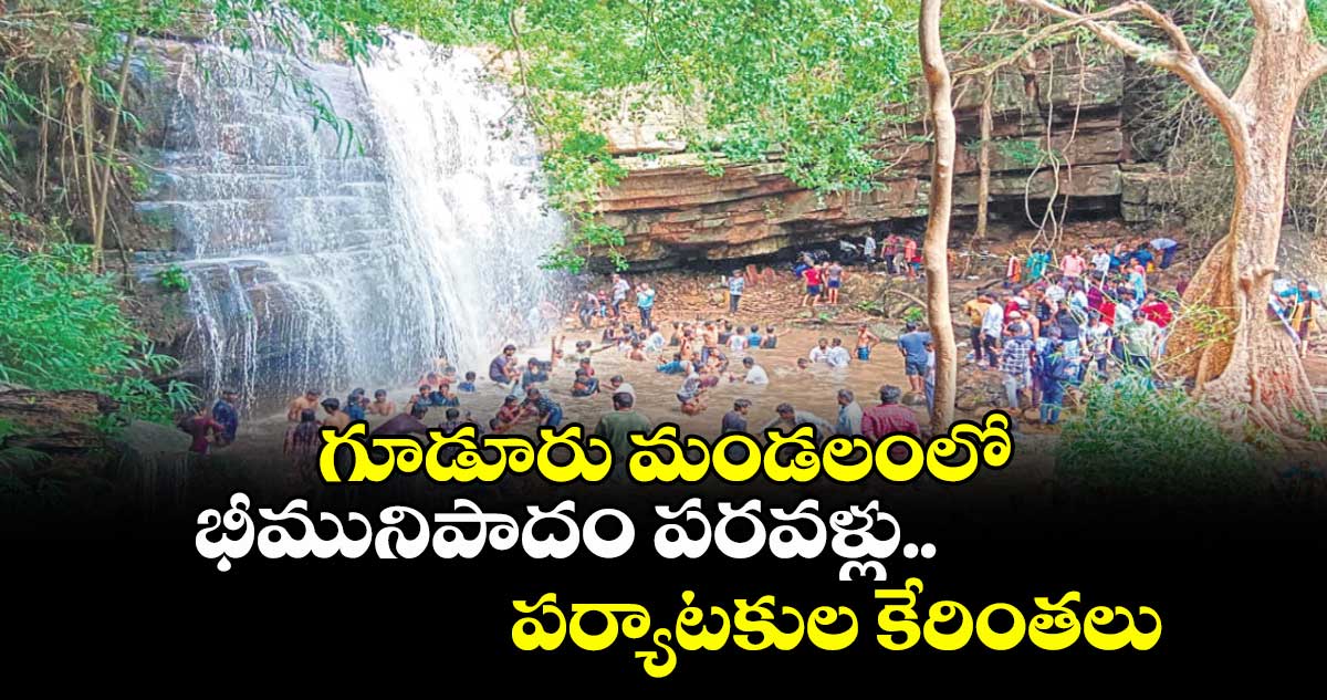గూడూరు మండలంలో భీమునిపాదం పరవళ్లు.. పర్యాటకుల కేరింతలు