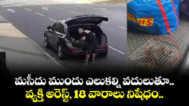 మసీదు ముందు ఎలుకల్ని వదులుతూ.. వ్యక్తి అరెస్ట్, 18 వారాలు నిషేధం..  