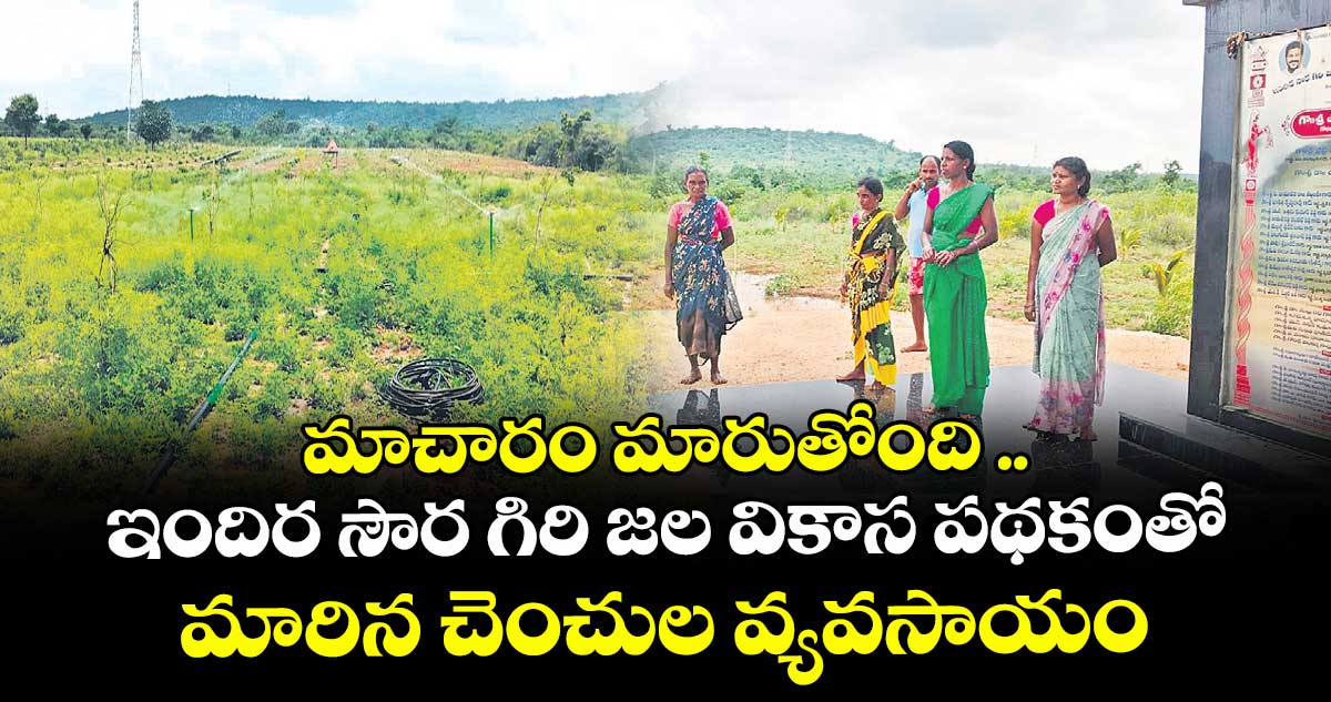 మాచారం మారుతోంది .. ఇందిర సౌర గిరి జల వికాస పథకంతో మారిన చెంచుల వ్యవసాయం