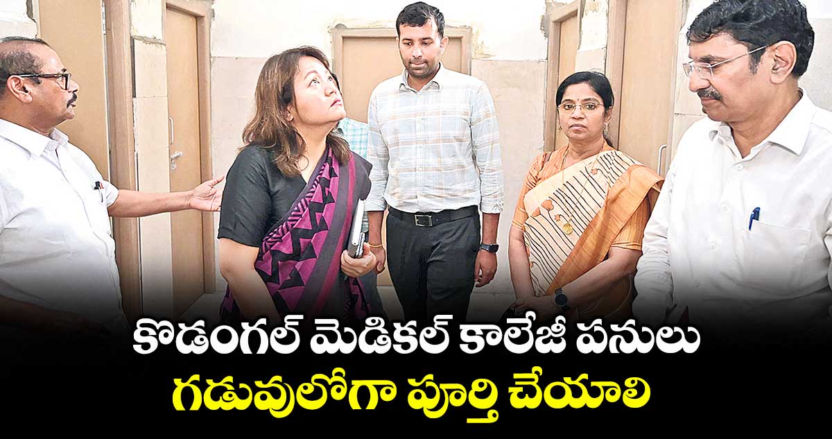 కొడంగల్ మెడికల్ కాలేజీ పనులు గడువులోగా పూర్తి చేయాలి : క్రిస్టినా