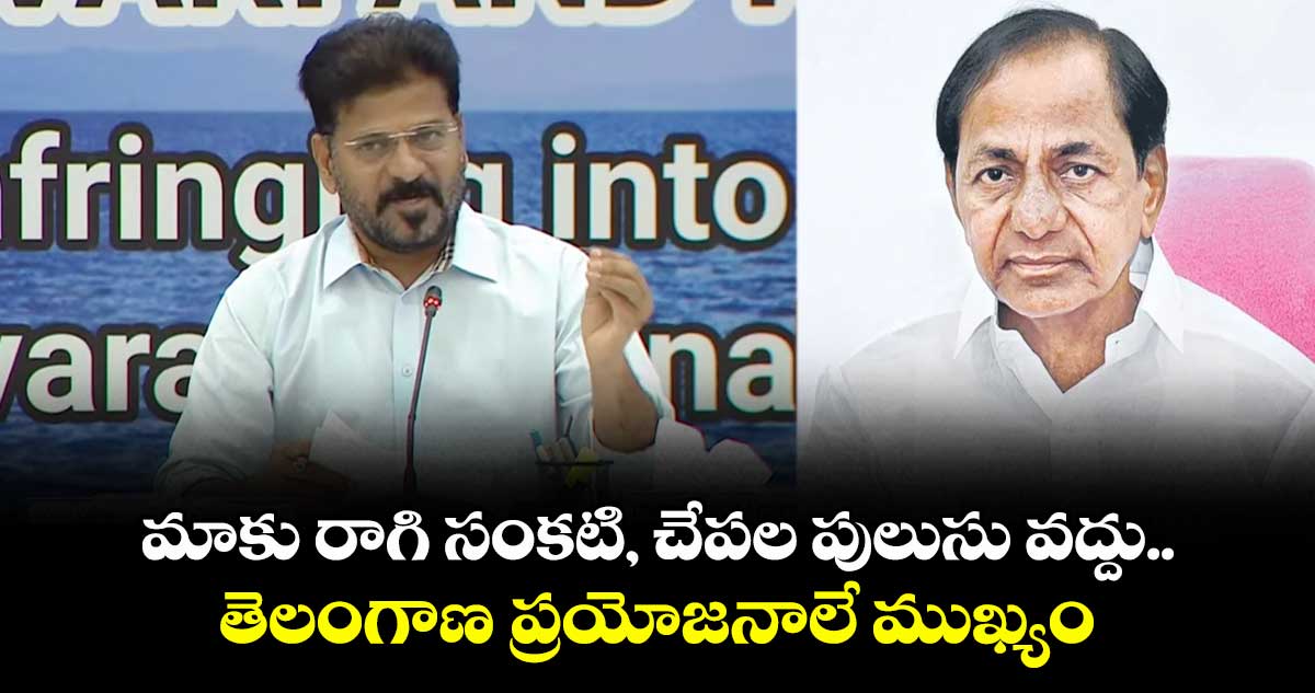 మాకు రాగి సంకటి, చేపల పులుసు వద్దు.. తెలంగాణ ప్రయోజనాలే ముఖ్యం: సీఎం రేవంత్ రెడ్డి