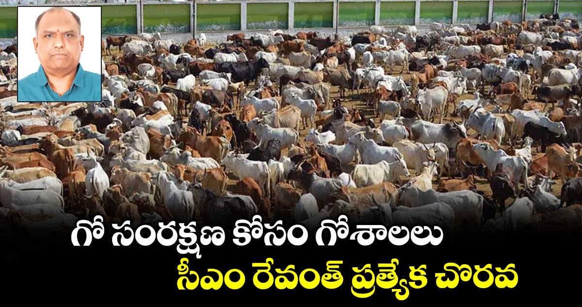 గో సంరక్షణ కోసం గోశాలలు: సీఎం రేవంత్ ప్రత్యేక చొరవ.. 