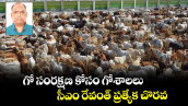 గో సంరక్షణ కోసం గోశాలలు: సీఎం రేవంత్ ప్రత్యేక చొరవ.. 