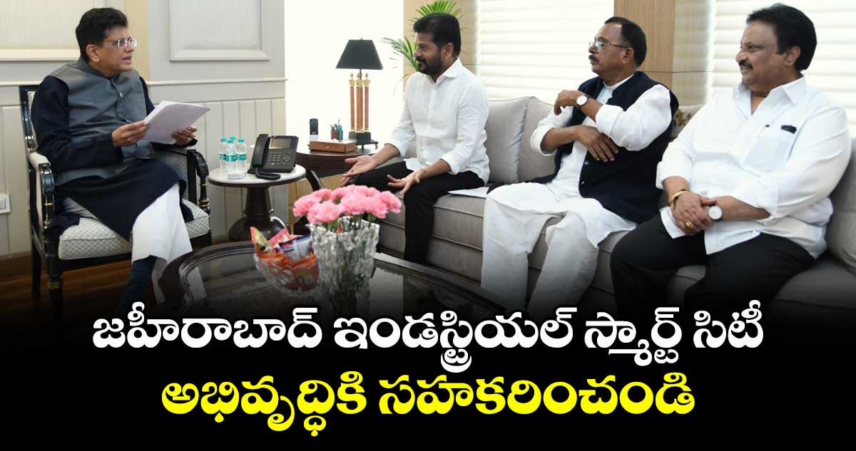 జహీరాబాద్ ఇండస్ట్రియల్ స్మార్ట్ సిటీ అభివృద్ధికి సహకరించండి: సీఎం రేవంత్