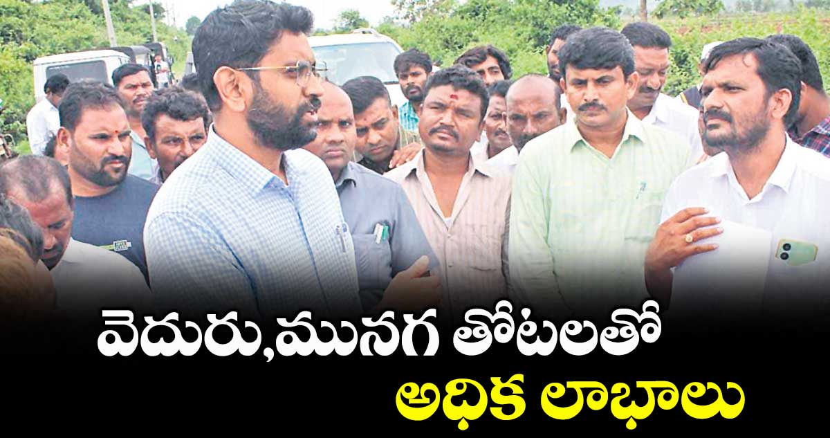 వెదురు,మునగ తోటలతో అధిక లాభాలు : కలెక్టర్ జితేశ్ వి. పాటిల్