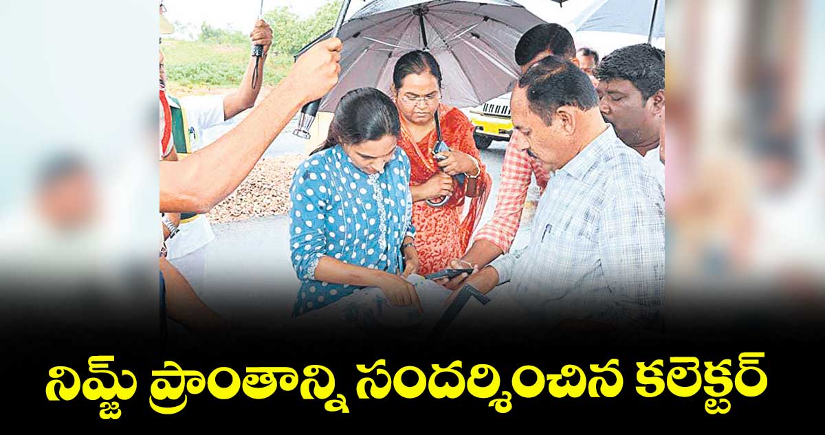 నిమ్జ్ ప్రాంతాన్ని సందర్శించిన కలెక్టర్