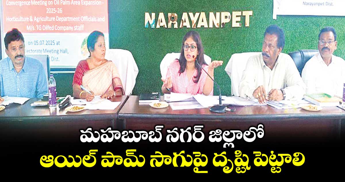 మహబూబ్ నగర్ జిల్లాలో ఆయిల్ పామ్ సాగుపై దృష్టి పెట్టాలి : కలెక్టర్ సిక్తా పట్నాయక్