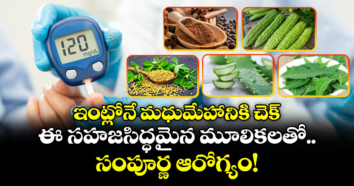 Blood Sugar : ఇంట్లోనే మధుమేహానికి చెక్.. ఈ సహజసిద్ధమైన మూలికలతో సంపూర్ణ ఆరోగ్యం!