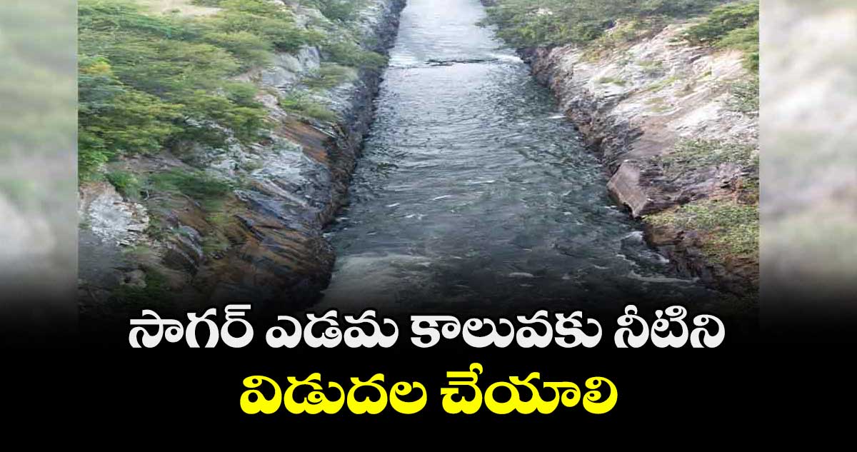 సాగర్ ఎడమ కాలువకు నీటిని విడుదల చేయాలి : పోకల వెంకటేశ్వర్లు