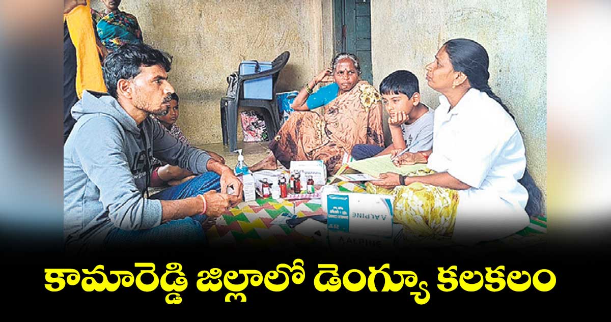 కామారెడ్డి జిల్లాలో డెంగ్యూ కలకలం
