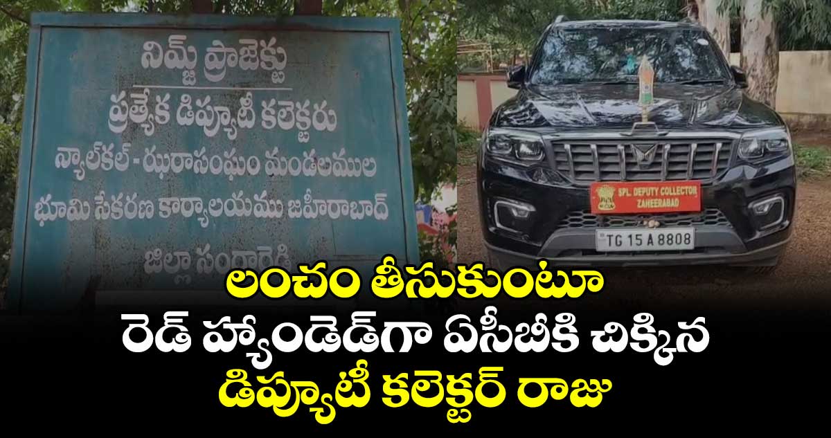 లంచం తీసుకుంటూ రెడ్ హ్యాండెడ్‎గా ఏసీబీకి చిక్కిన డిప్యూటీ కలెక్టర్ రాజు