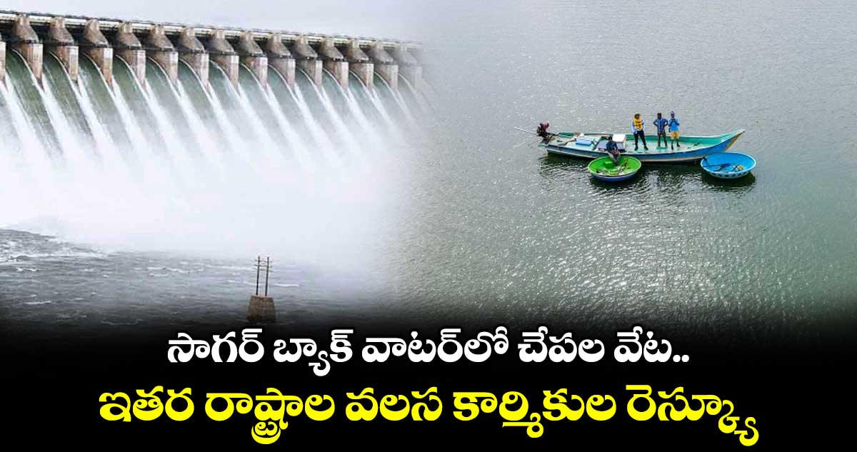 సాగర్ బ్యాక్ వాటర్లో చేపల వేట.. ఇతర రాష్ట్రాల వలస కార్మికుల రెస్క్యూ