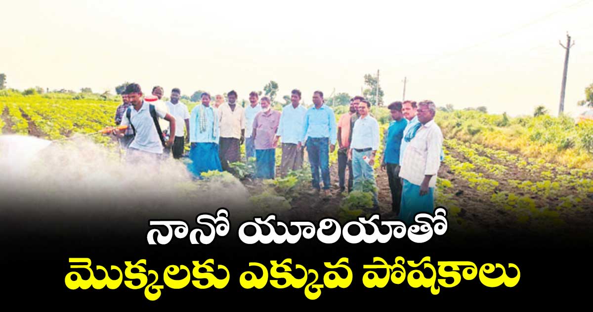 నానో యూరియాతో మొక్కలకు ఎక్కువ పోషకాలు : డి. పుల్లయ్య
