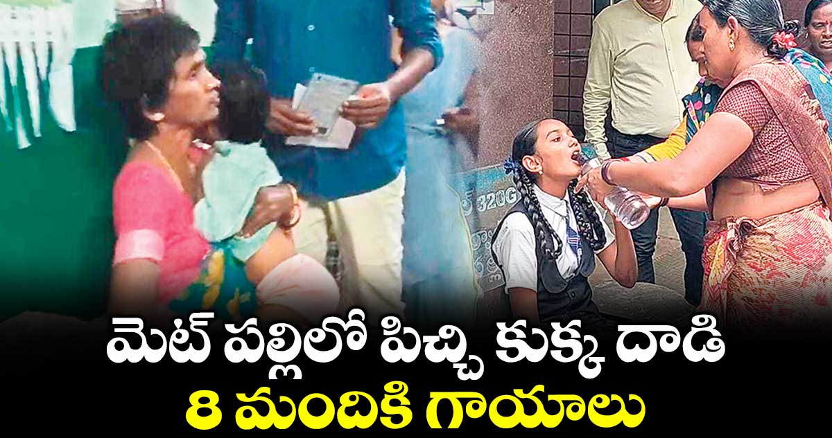 మెట్ పల్లిలో పిచ్చి కుక్క దాడి.. 8 మందికి గాయాలు