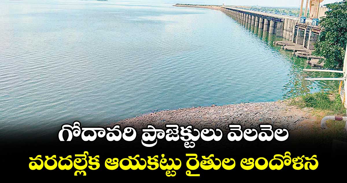 గోదావరి ప్రాజెక్టులు వెలవెల ..వరదల్లేక ఆయకట్టు రైతుల ఆందోళన