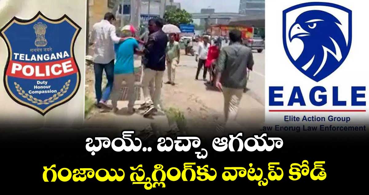 భాయ్.. బచ్చా ఆగయా..గంజాయి స్మగ్లింగ్కు వాట్సప్ కోడ్