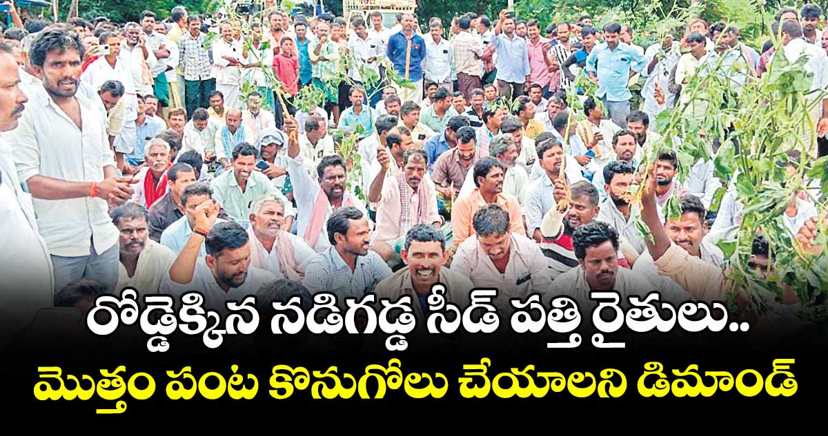 రోడ్డెక్కిన నడిగడ్డ సీడ్ పత్తి రైతులు..మొత్తం పంట కొనుగోలు చేయాలని డిమాండ్