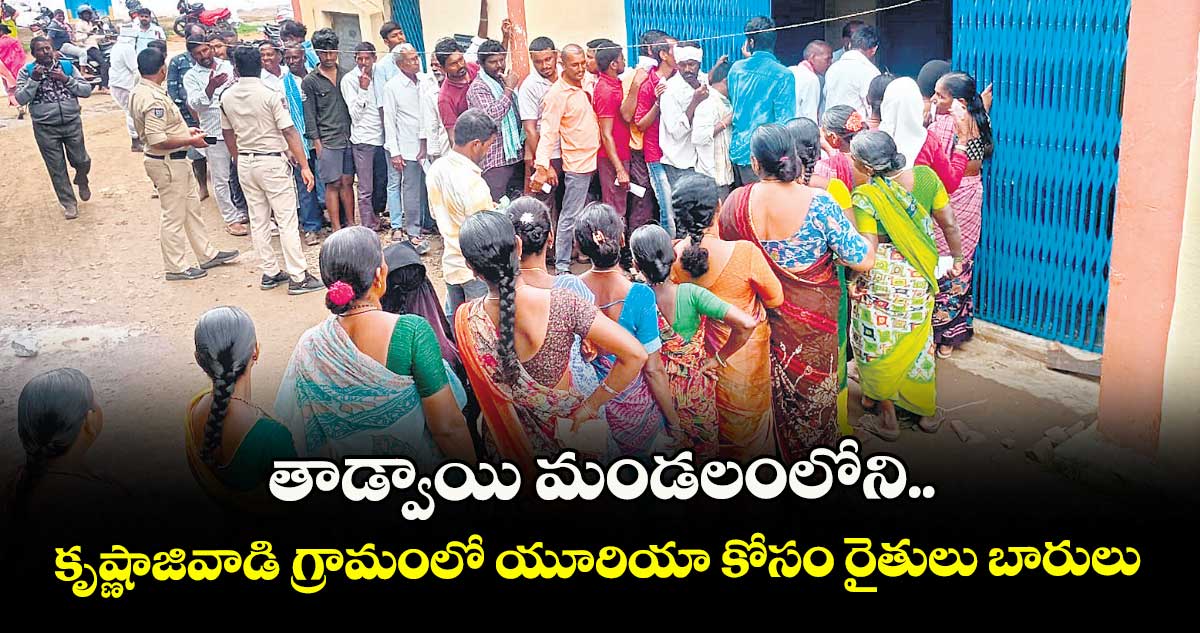 తాడ్వాయి మండలంలోని .. కృష్ణాజివాడి గ్రామంలో యూరియా కోసం రైతులు బారులు