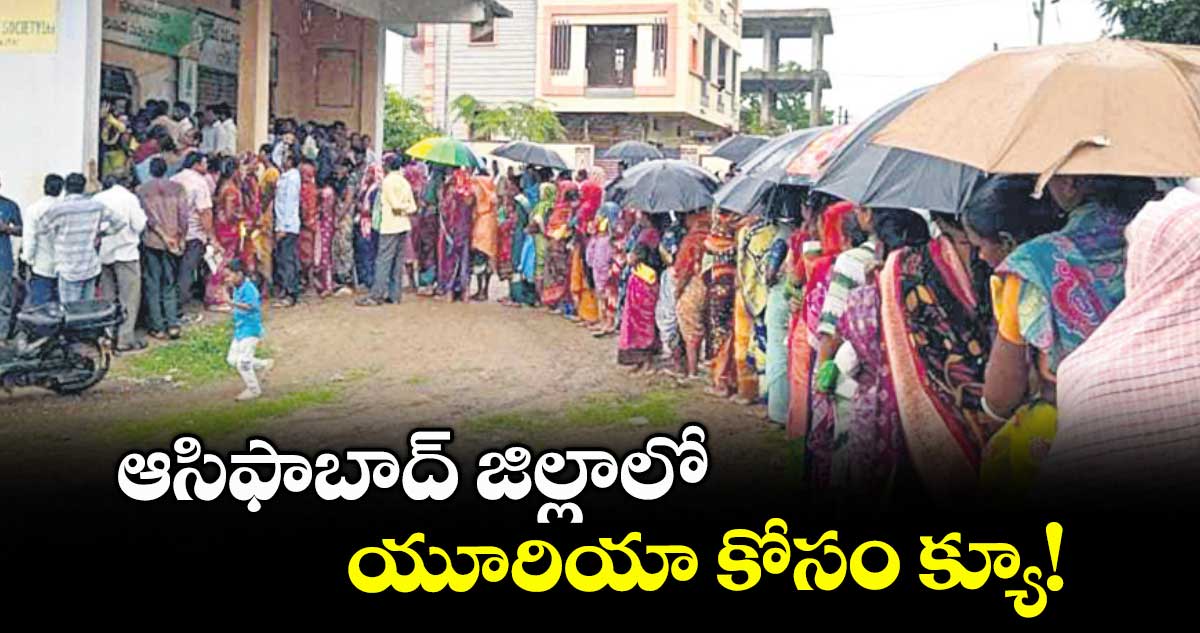 ఆసిఫాబాద్ జిల్లాలో యూరియా కోసం క్యూ!