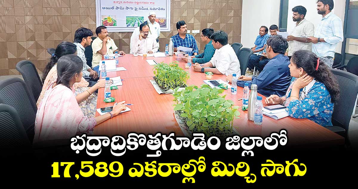 భద్రాద్రికొత్తగూడెం జిల్లాలో 17,589 ఎకరాల్లో మిర్చి సాగు : అడిషనల్ కలెక్టర్ వేణుగోపాల్