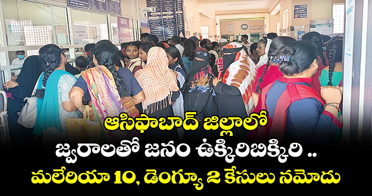 ఆసిఫాబాద్ జిల్లాలో జ్వరాలతో జనం ఉక్కిరిబిక్కిరి .. మలేరియా 10, డెంగ్యూ 2 కేసులు నమోదు