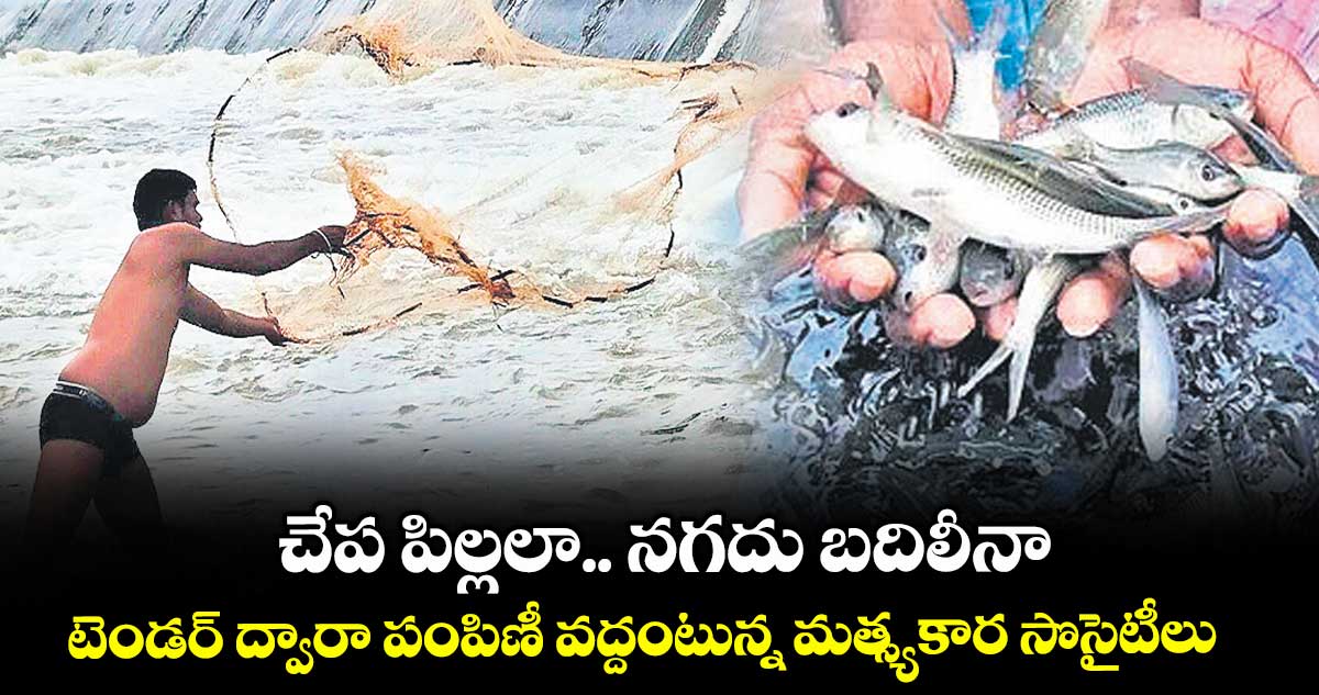 చేప పిల్లలా.. నగదు బదిలీనా .. టెండర్ ద్వారా పంపిణీ వద్దంటున్న మత్స్యకార సొసైటీలు