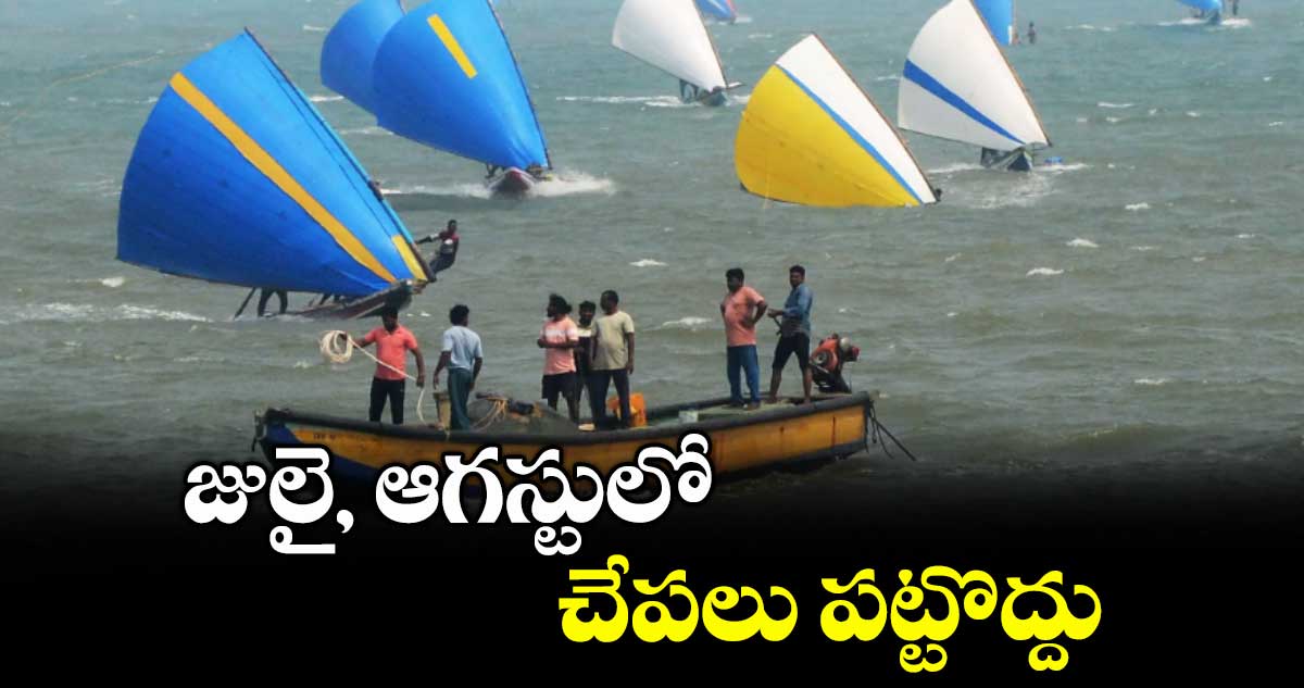 జులై, ఆగస్టులో చేపలు పట్టొద్దు