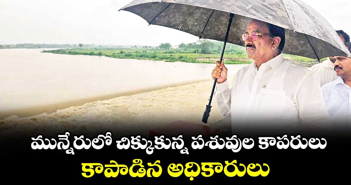 మున్నేరులో చిక్కుకున్న పశువుల కాపరులు.. కాపాడిన అధికారులు
