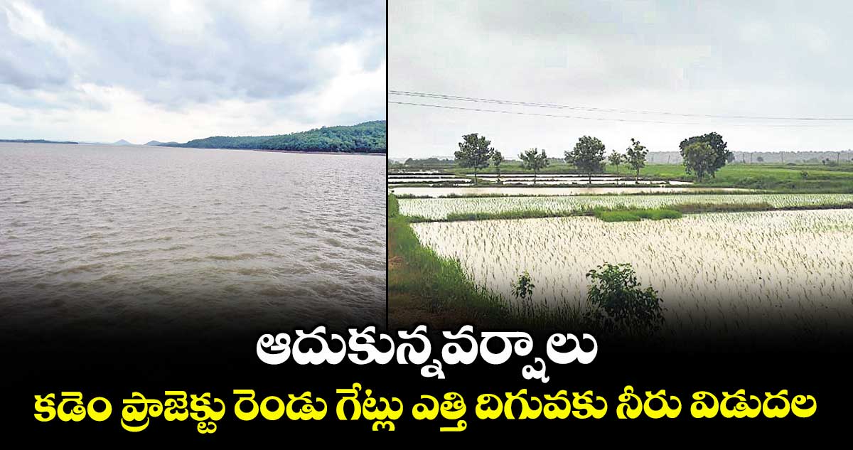 ఆదుకున్నవర్షాలు .. కడెం ప్రాజెక్టు రెండు గేట్లు ఎత్తి దిగువకు నీరు విడుదల