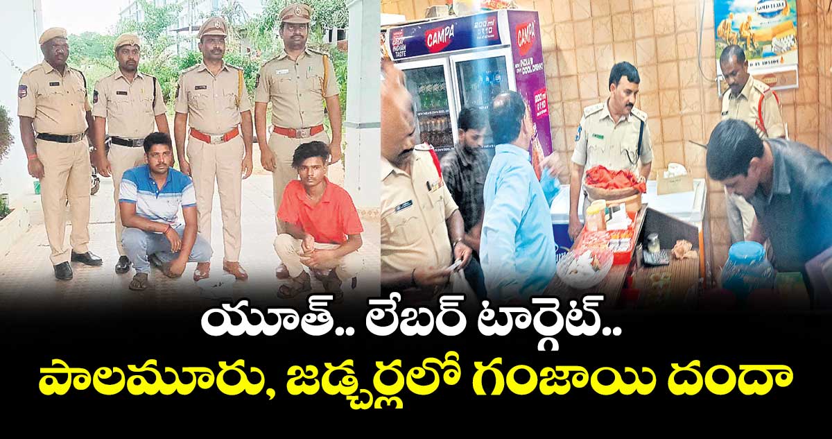 యూత్.. లేబర్ టార్గెట్.. పాలమూరు, జడ్చర్లలో గంజాయి దందా