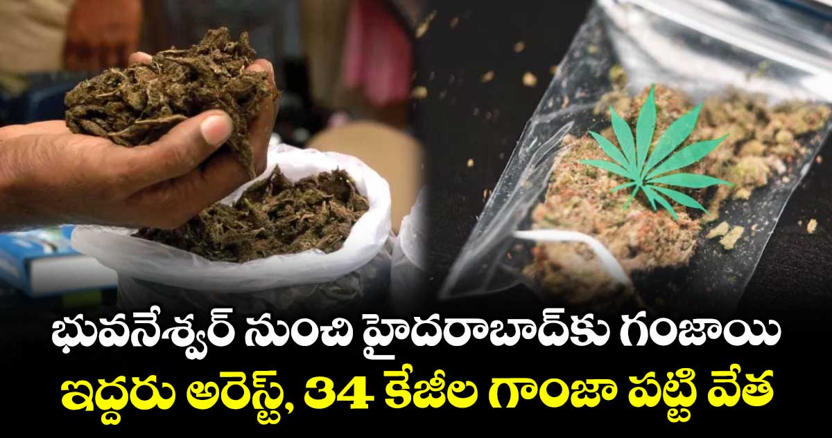 భువనేశ్వర్‌‌‌‌‌‌‌‌ నుంచి హైదరాబాద్‌‌‌‌‌‌‌‌కు గంజాయి ...ఇద్దరు అరెస్ట్, 34 కేజీల గాంజా పట్టి వేత 