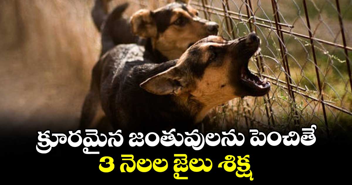 క్రూరమైన జంతువులను పెంచితే 3 నెలల జైలు శిక్ష