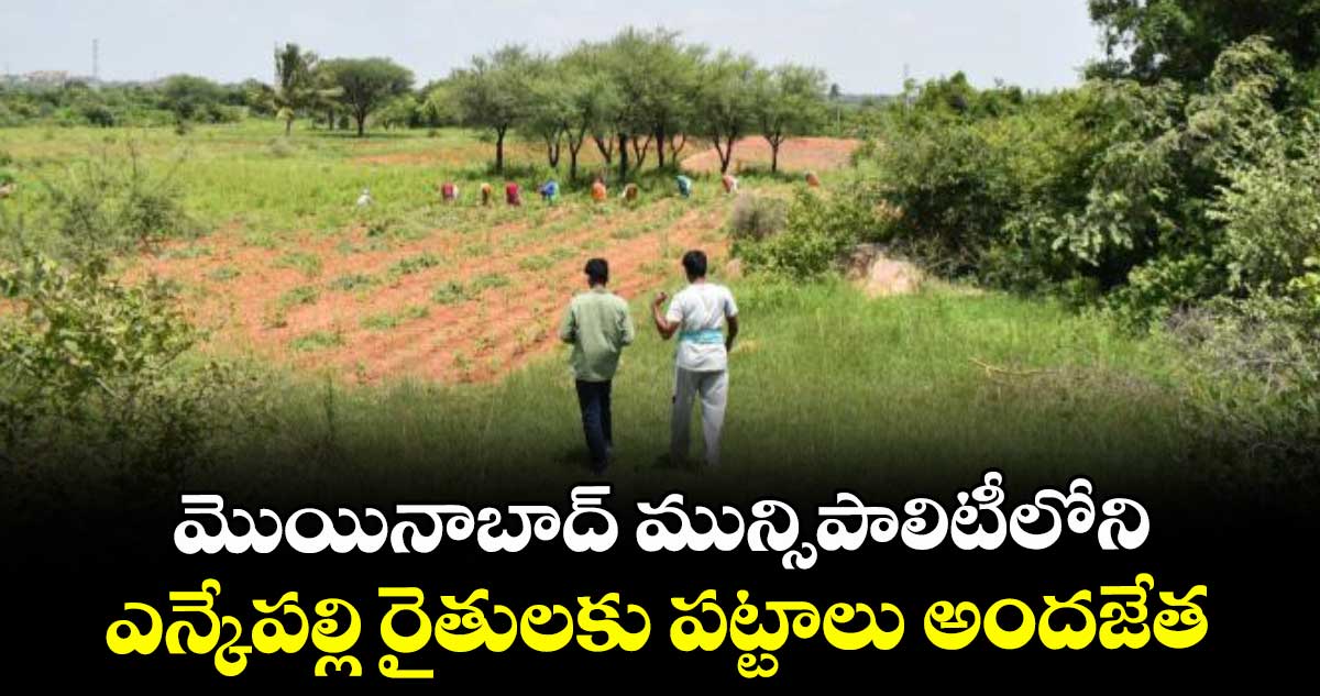 మొయినాబాద్ మున్సిపాలిటీలోని .. ఎన్కేపల్లి రైతులకు పట్టాలు అందజేత