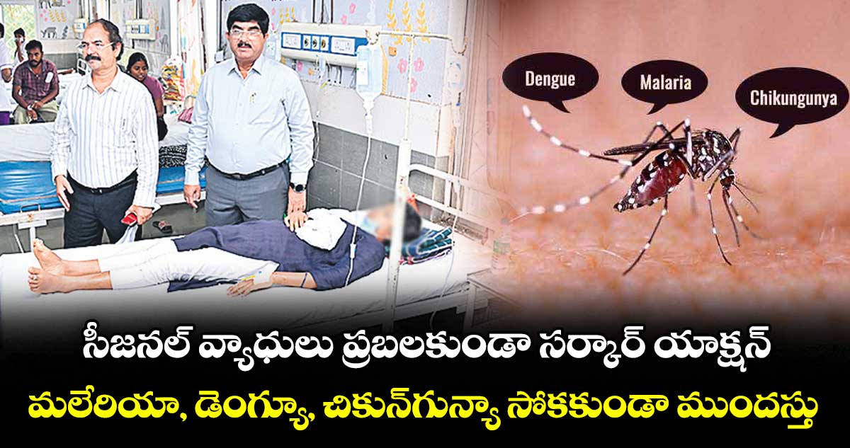 సీజనల్ వ్యాధులు ప్రబలకుండా సర్కార్ యాక్షన్..మలేరియా, డెంగ్యూ, చికున్గున్యా సోకకుండా ముందస్తు జాగ్రత్తలు